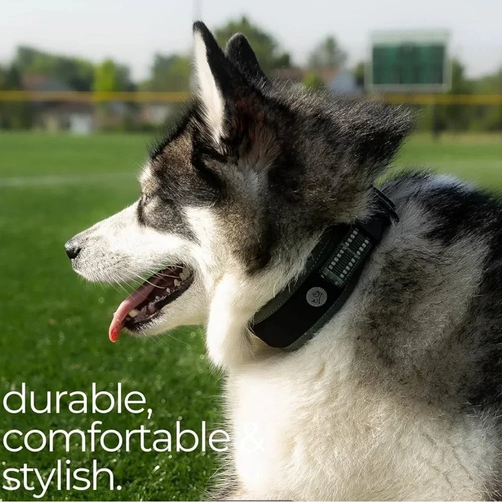 🆕 Airtag Dog Collar, medium